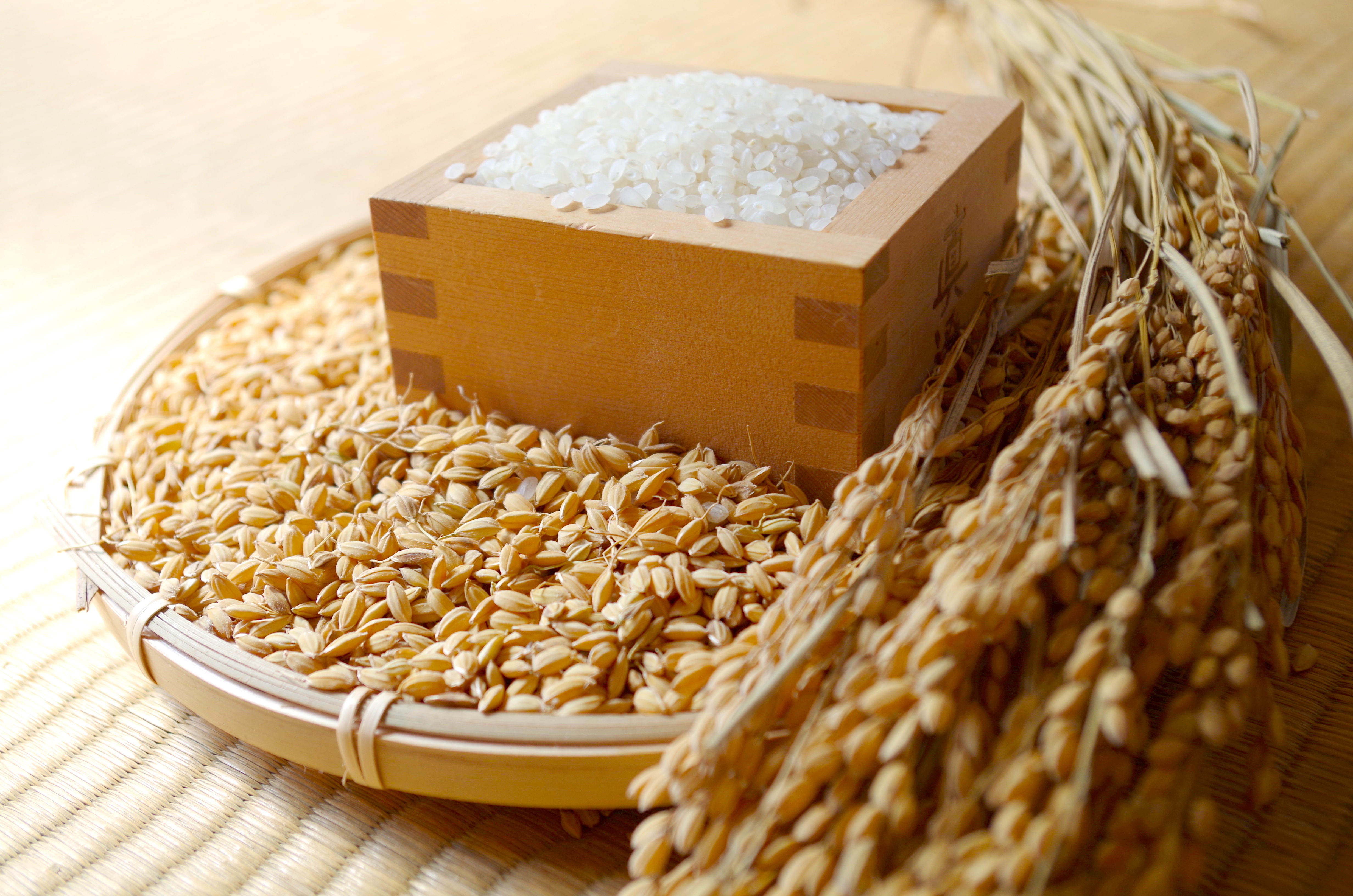 パーマリンク先: 農薬・化学肥料を使っていないお米