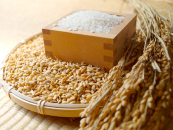 パーマリンク先: 農薬・化学肥料を使っていないお米